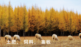 海能定氮儀在畜牧領域