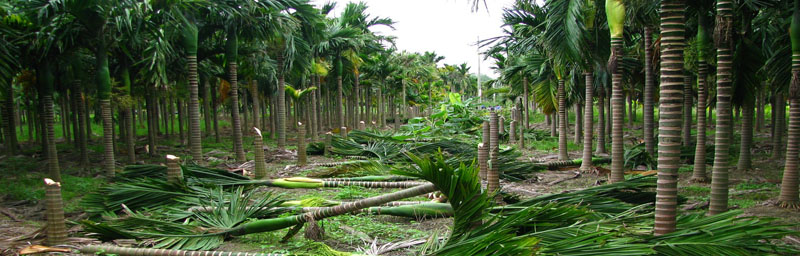 海能儀器廣泛應用于環境分析領域